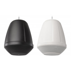 Caja colgante con Sub integrado 4x2,75" + 1x6". 100W 70/100V Negro.