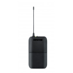 Sistema inalámbrico MX53 earset con receptor enracable.