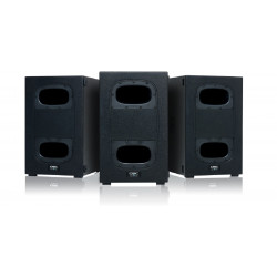Subgrave auto-amplificado 1x12”, madera, Classe D 2000W, DSP.