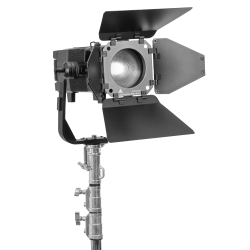 LEO FRESNEL