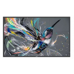 65" Basic Signage, UHD, 400cd/m², 18/7 (ANDROID SoC 10.0)