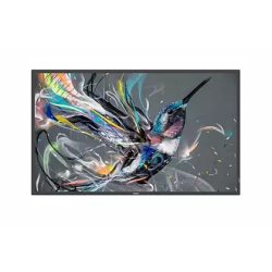 55" D-LED ECO-design 4K Display, Android10, 18/7 landscape/portrait, 350cd/m²