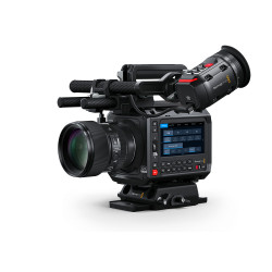 CINECAMCPYXM12LFL