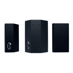 Altavoz 2 vías todo rango 10” + 1,75. 85° 300W@ 8Ω. FOH/Monitor. Negro