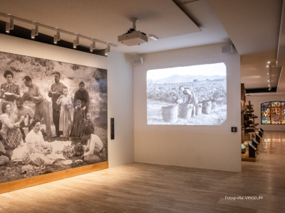VINSEUM: Mejor Museo del Vino Europeo 2024-25 gracias a la tecnología de EPSON y Philips